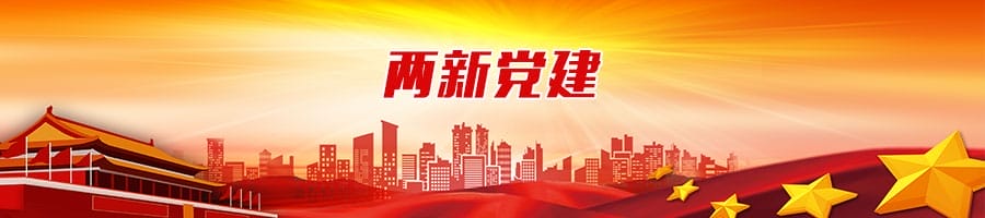 两新党建