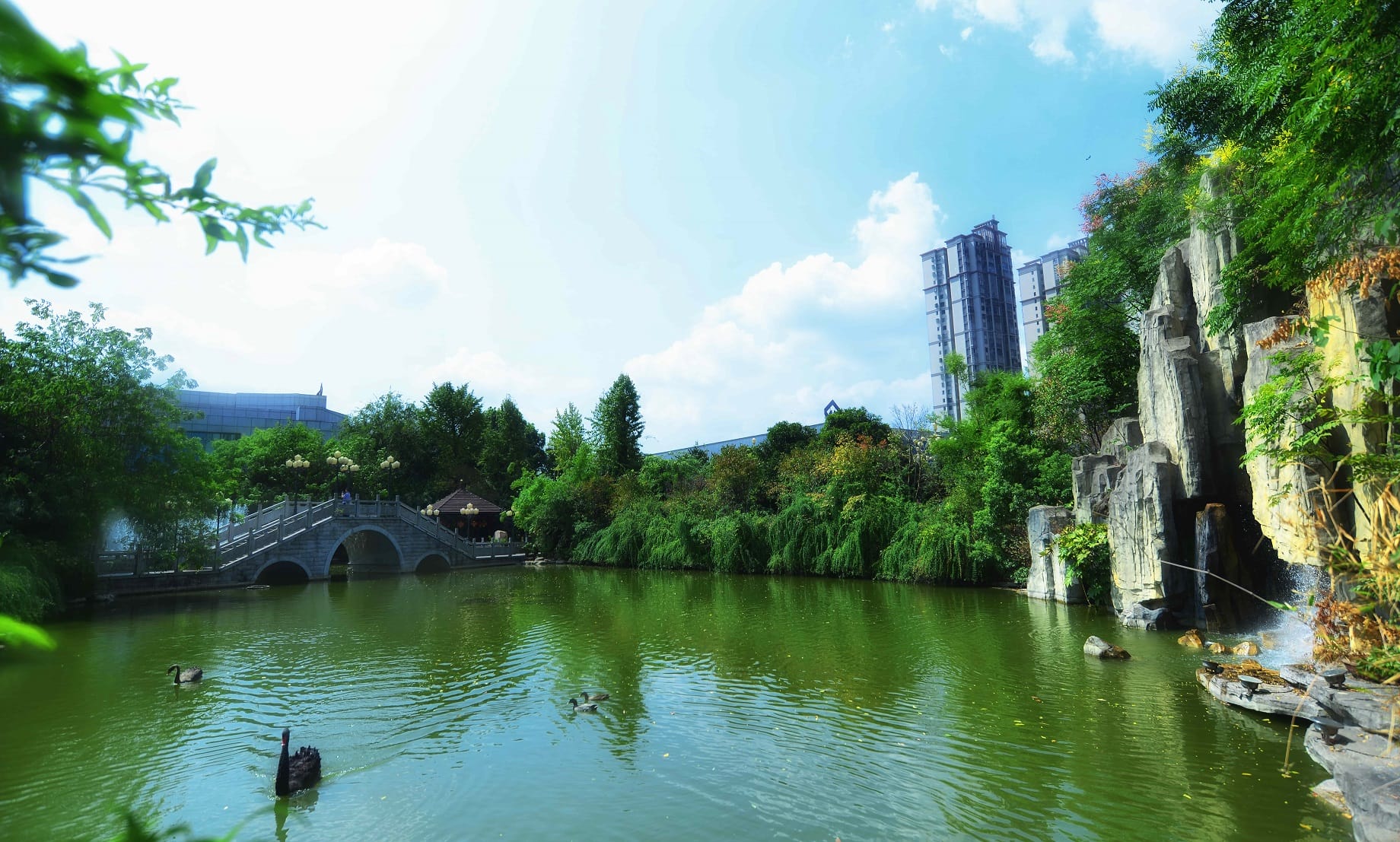 楚天科技股份有限公司2020届校园招聘简章